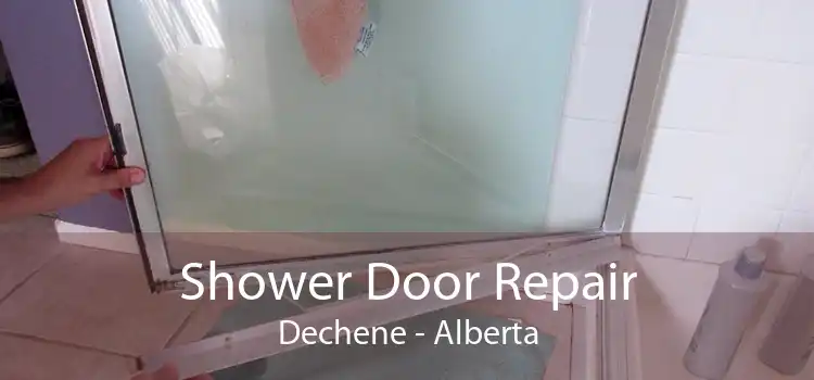 Shower Door Repair Dechene - Alberta