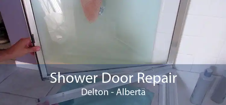 Shower Door Repair Delton - Alberta