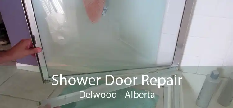 Shower Door Repair Delwood - Alberta