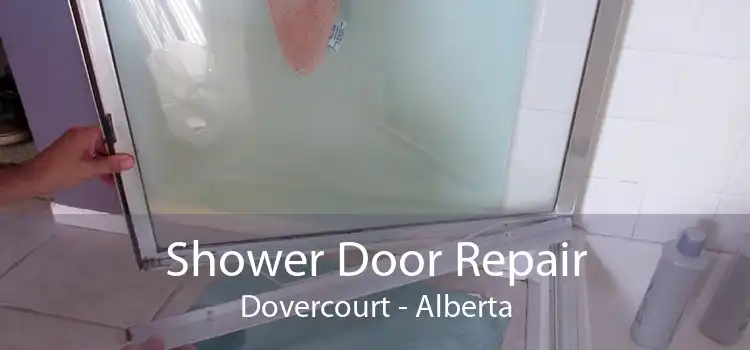 Shower Door Repair Dovercourt - Alberta