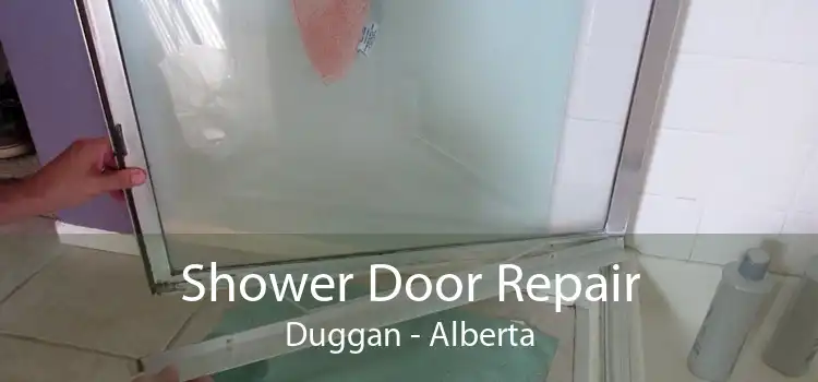 Shower Door Repair Duggan - Alberta