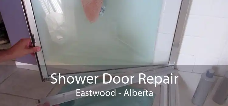 Shower Door Repair Eastwood - Alberta