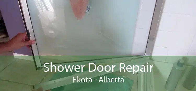 Shower Door Repair Ekota - Alberta