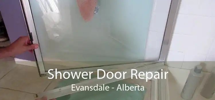 Shower Door Repair Evansdale - Alberta