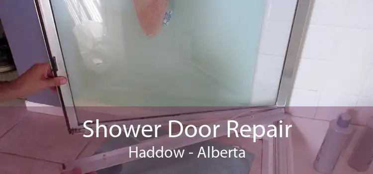 Shower Door Repair Haddow - Alberta