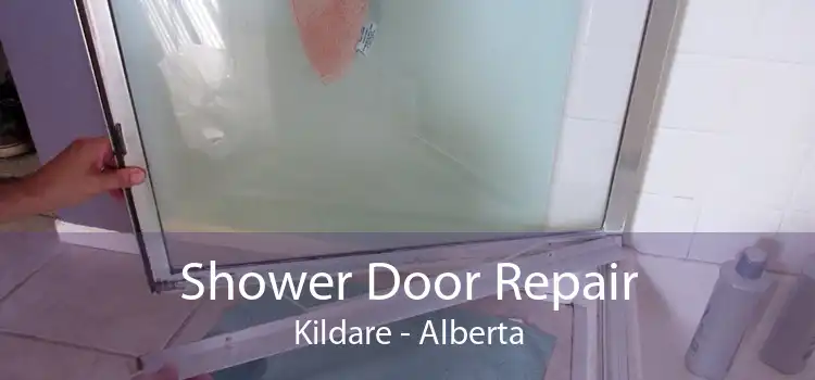 Shower Door Repair Kildare - Alberta