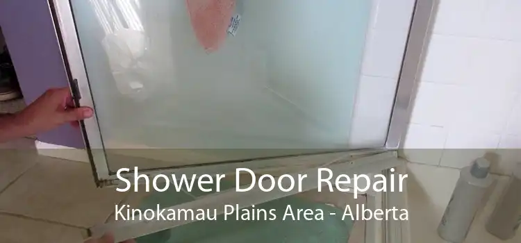 Shower Door Repair Kinokamau Plains Area - Alberta