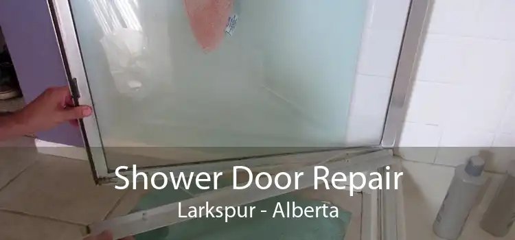 Shower Door Repair Larkspur - Alberta