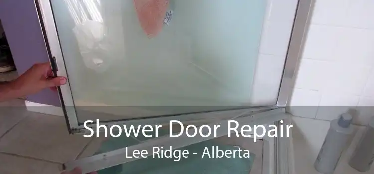 Shower Door Repair Lee Ridge - Alberta