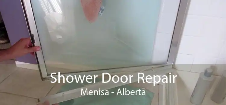 Shower Door Repair Menisa - Alberta