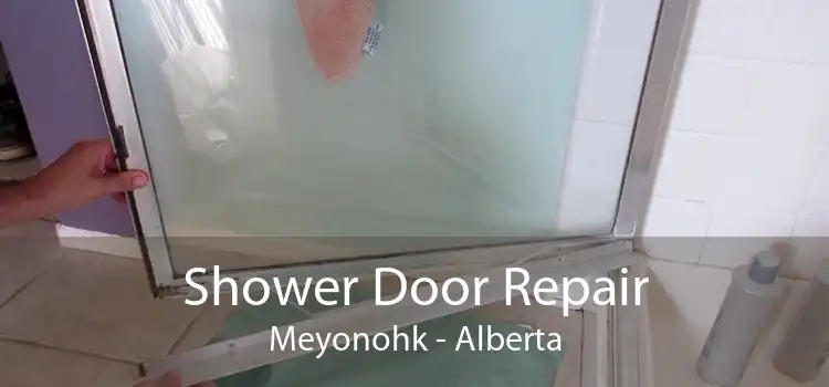 Shower Door Repair Meyonohk - Alberta