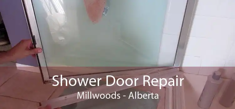 Shower Door Repair Millwoods - Alberta