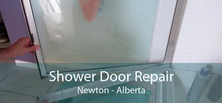 Shower Door Repair Newton - Alberta