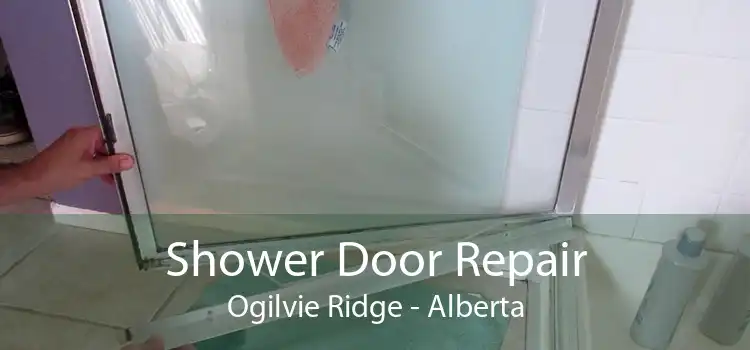 Shower Door Repair Ogilvie Ridge - Alberta