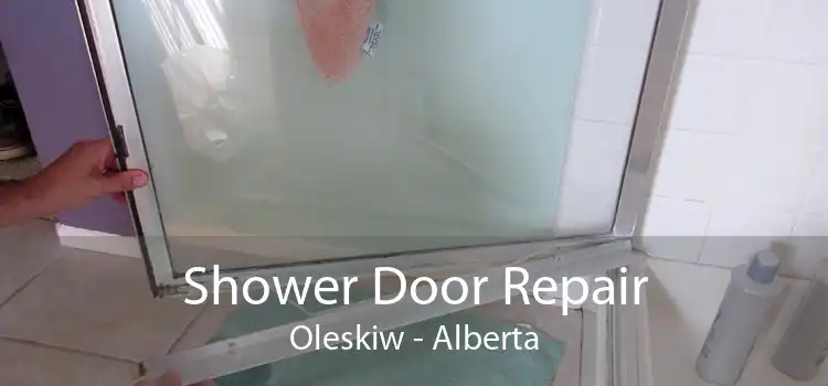 Shower Door Repair Oleskiw - Alberta