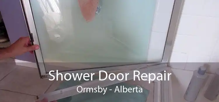 Shower Door Repair Ormsby - Alberta