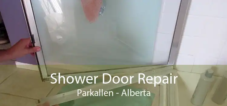 Shower Door Repair Parkallen - Alberta