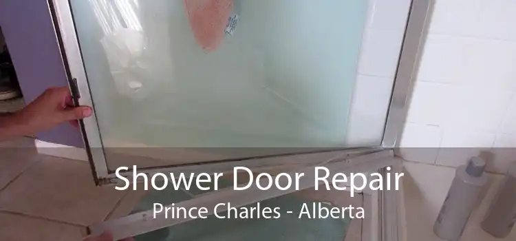 Shower Door Repair Prince Charles - Alberta