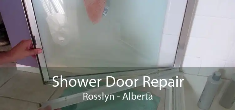 Shower Door Repair Rosslyn - Alberta