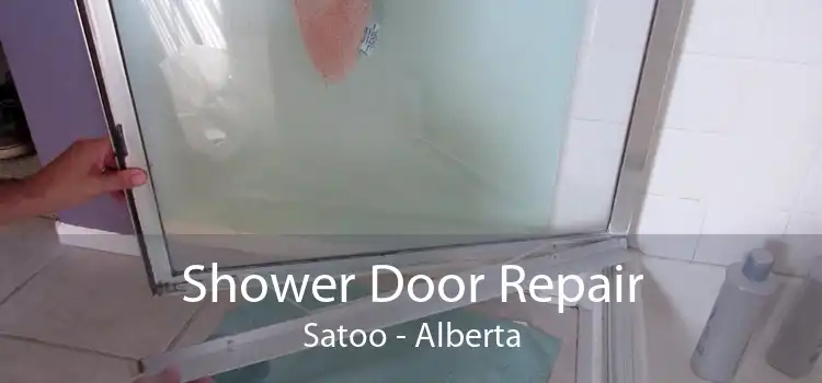 Shower Door Repair Satoo - Alberta