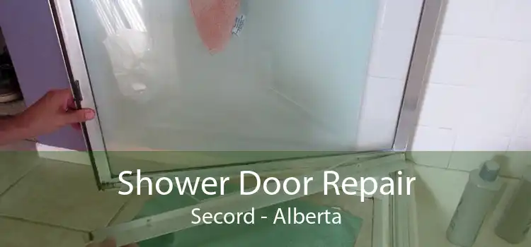 Shower Door Repair Secord - Alberta