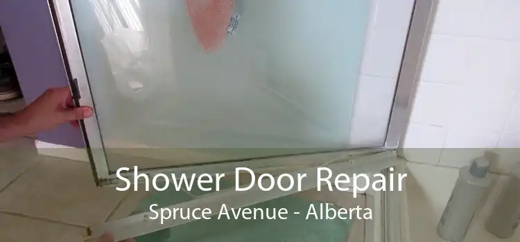 Shower Door Repair Spruce Avenue - Alberta