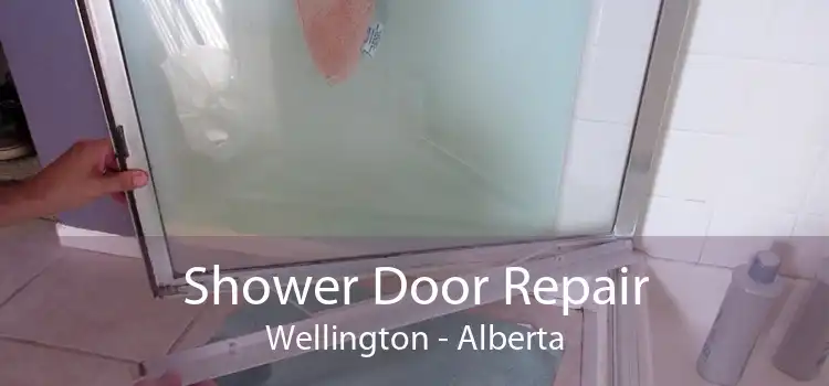 Shower Door Repair Wellington - Alberta