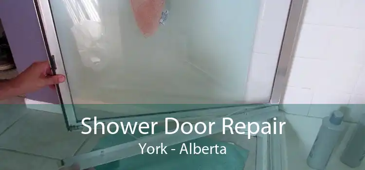 Shower Door Repair York - Alberta