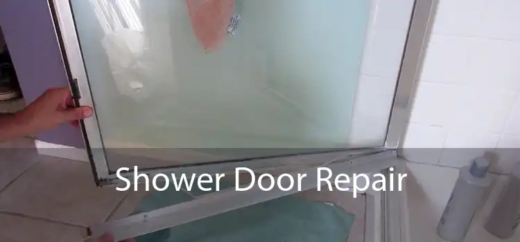 Shower Door Repair 