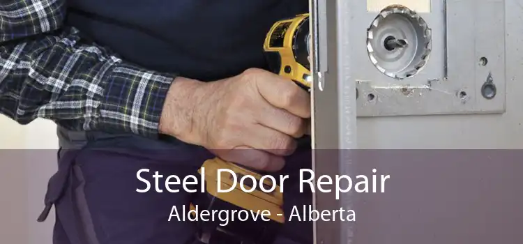 Steel Door Repair Aldergrove - Alberta