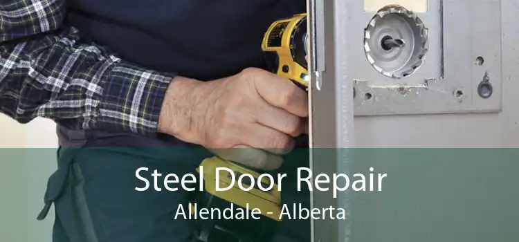 Steel Door Repair Allendale - Alberta