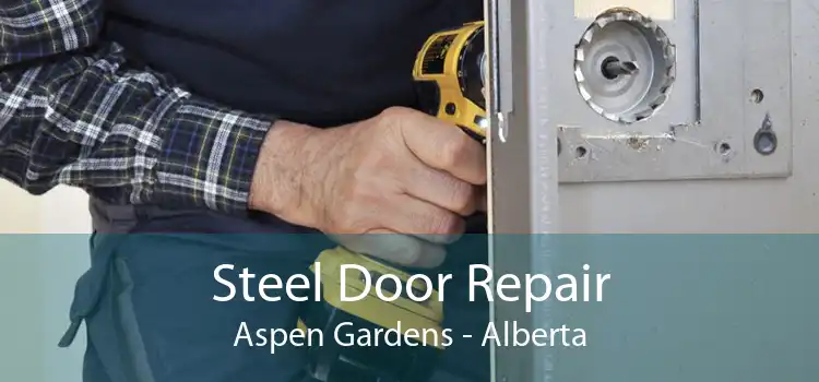 Steel Door Repair Aspen Gardens - Alberta