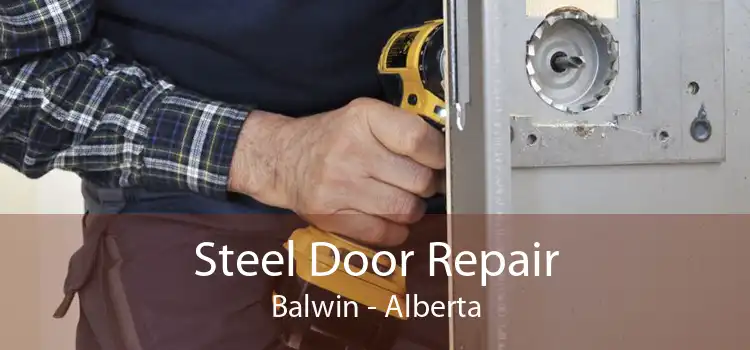 Steel Door Repair Balwin - Alberta