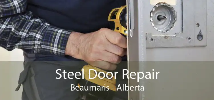 Steel Door Repair Beaumaris - Alberta