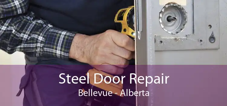 Steel Door Repair Bellevue - Alberta