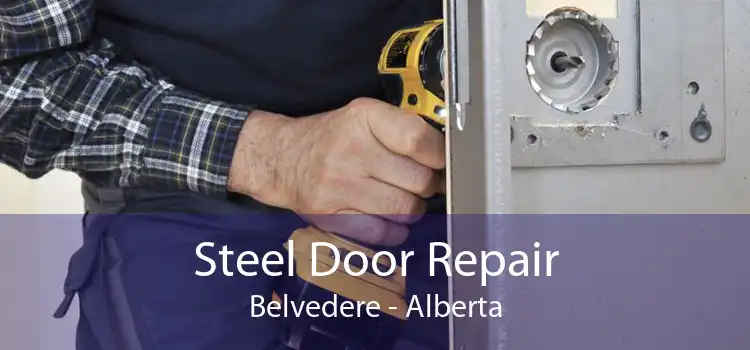 Steel Door Repair Belvedere - Alberta