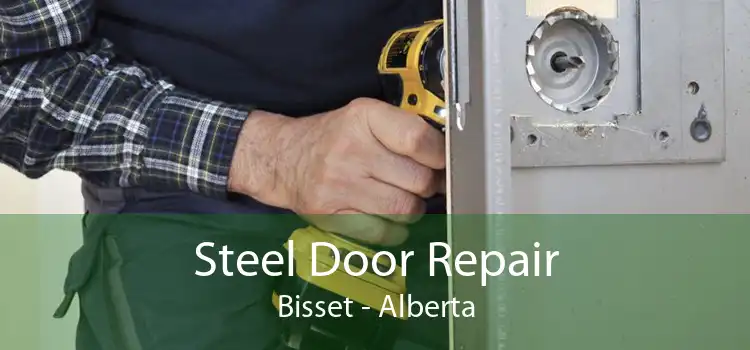 Steel Door Repair Bisset - Alberta