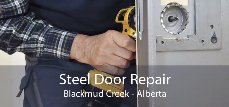 Steel Door Repair Blackmud Creek - Alberta