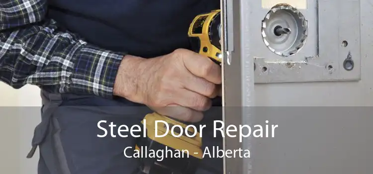 Steel Door Repair Callaghan - Alberta