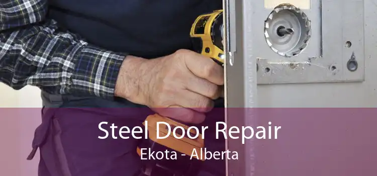 Steel Door Repair Ekota - Alberta