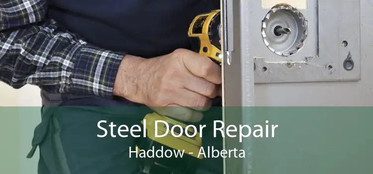 Steel Door Repair Haddow - Alberta