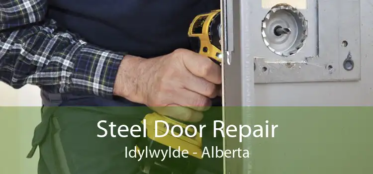 Steel Door Repair Idylwylde - Alberta