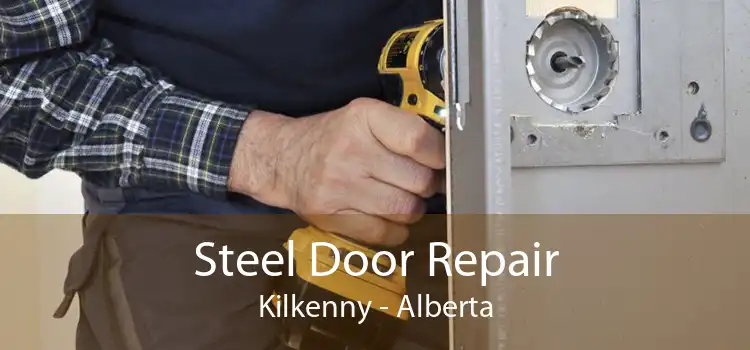 Steel Door Repair Kilkenny - Alberta