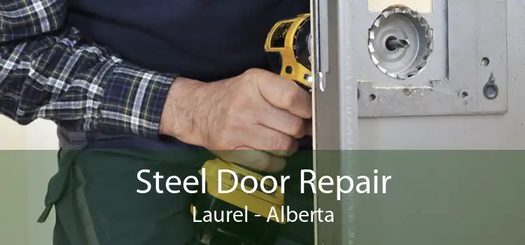 Steel Door Repair Laurel - Alberta