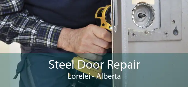 Steel Door Repair Lorelei - Alberta