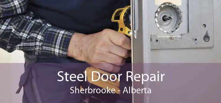 Steel Door Repair Sherbrooke - Alberta