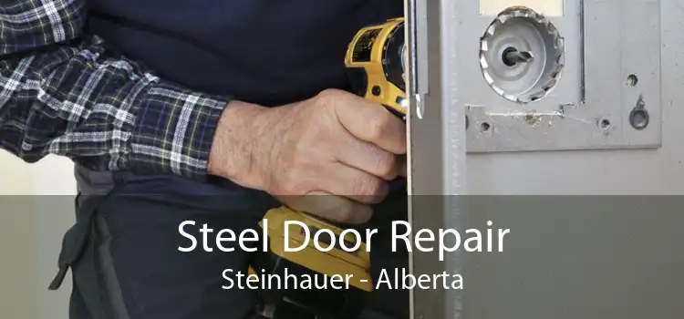 Steel Door Repair Steinhauer - Alberta