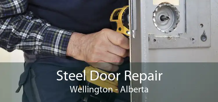 Steel Door Repair Wellington - Alberta