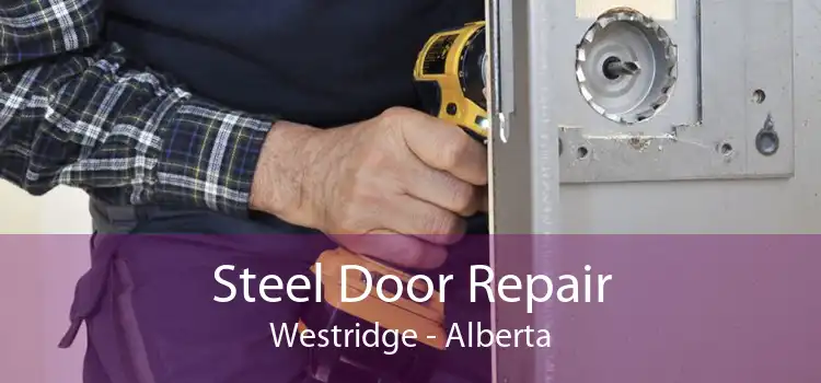 Steel Door Repair Westridge - Alberta