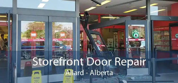 Storefront Door Repair Allard - Alberta